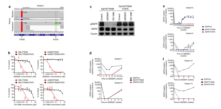 Image showing Acquired resistance to AZD9291 mediated by acquired EGFR C797S mutation.