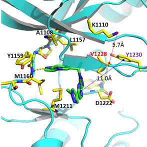 Image showing protein model