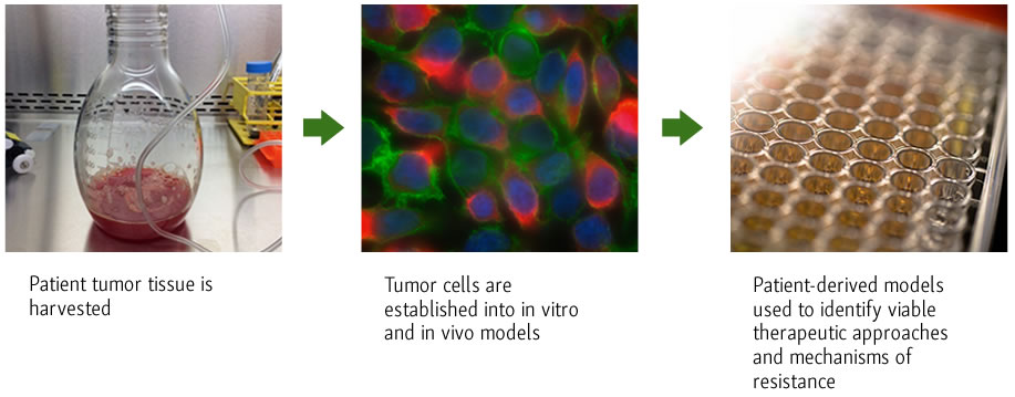 Image showing translation of clinic to bench