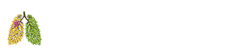 Janne Lab logo