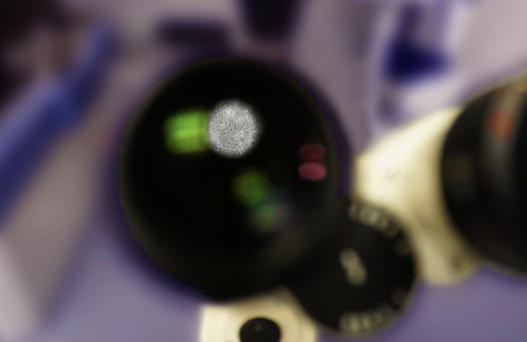 cutting edge tech photo