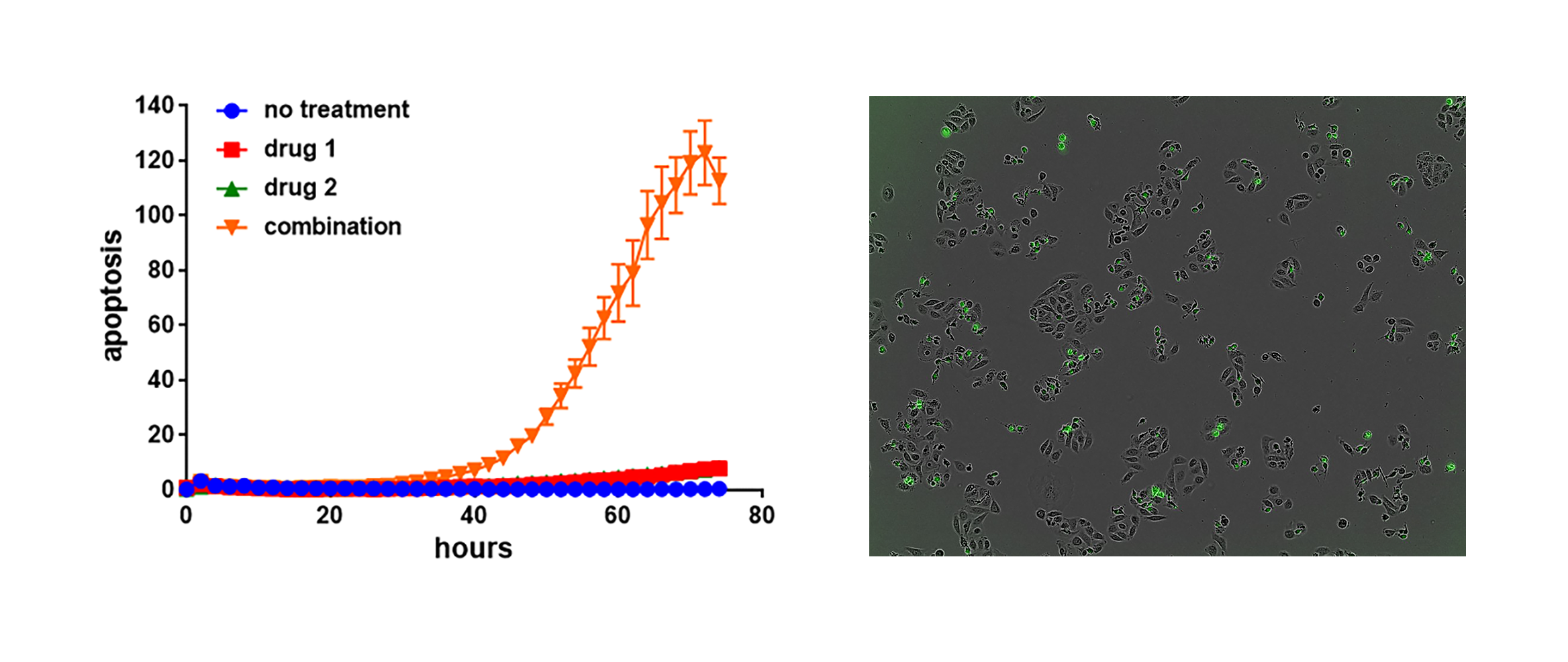graph 5