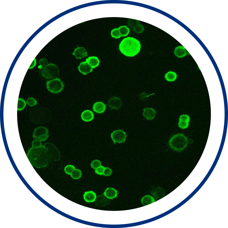 Identifying new oncogenic drivers and resistance mechanisms